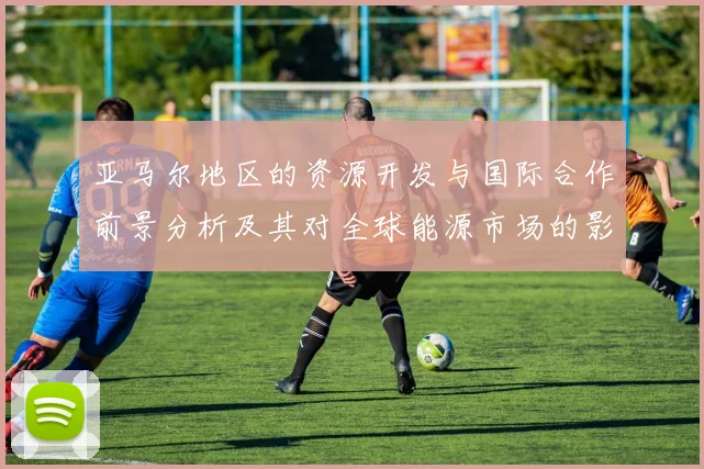 亚马尔地区的资源开发与国际合作前景分析及其对全球能源市场的影响
