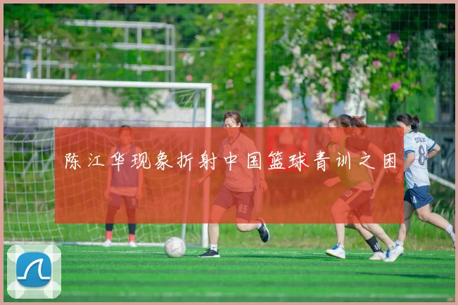 陈江华现象折射中国篮球青训之困