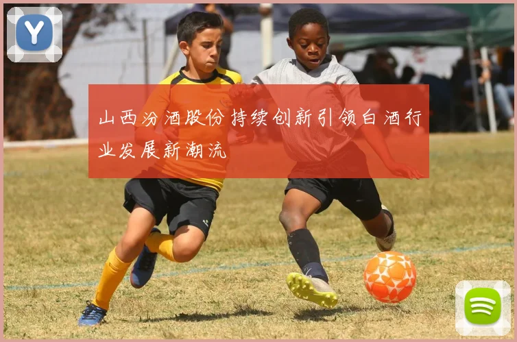山西汾酒股份持续创新引领白酒行业发展新潮流
