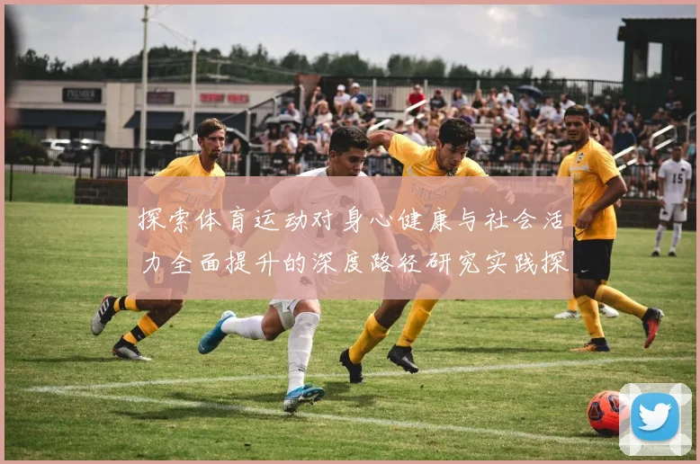 探索体育运动对身心健康与社会活力全面提升的深度路径研究实践探
